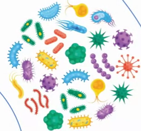 ATP Colorimetric & Fluorometric Assay Ki