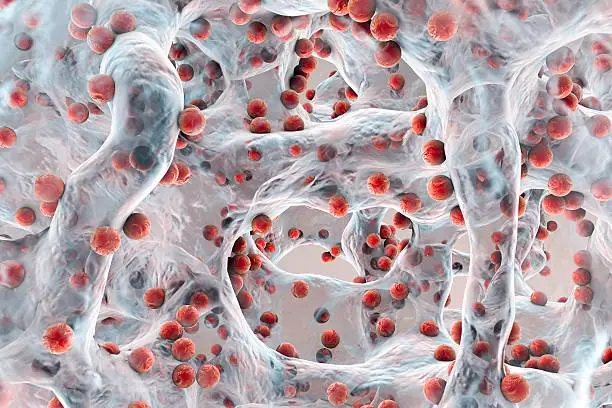 Hieff™ Blood Advanced Direct PCR Kit - 20 Tests