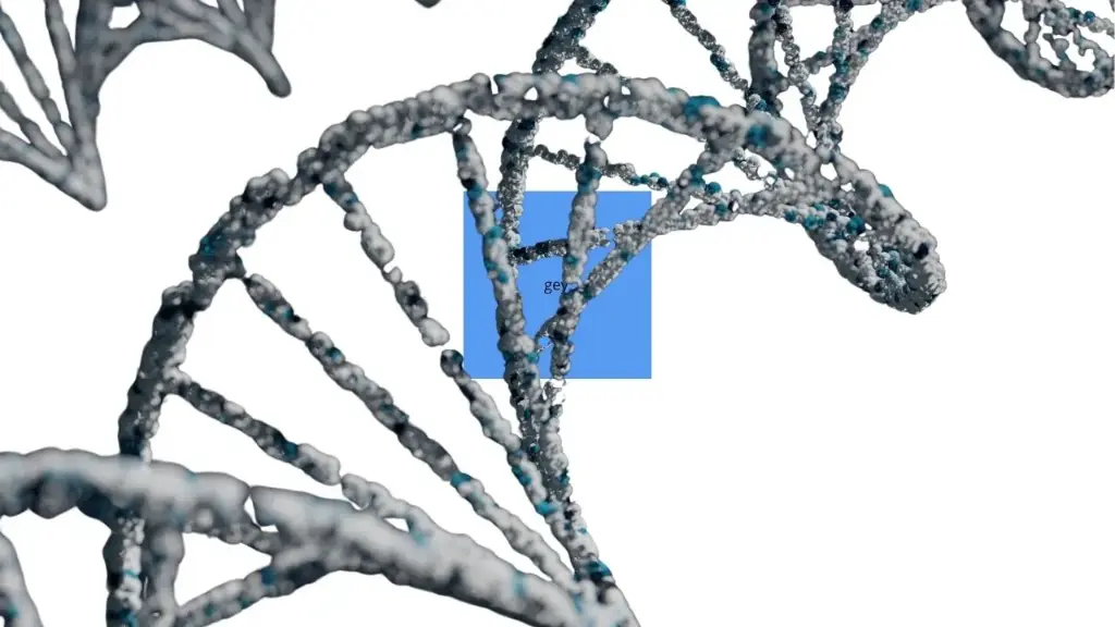Hieff Canace™ Uracil+ High-Fidelity DNA polymerase (3 U/μL) - 1000 Tests